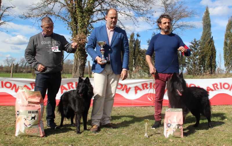 BIS joven Nuance  Des Etangs Sauvages 